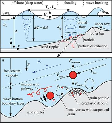 Wave-Induced Distribution of Microplastic in the Surf Zone